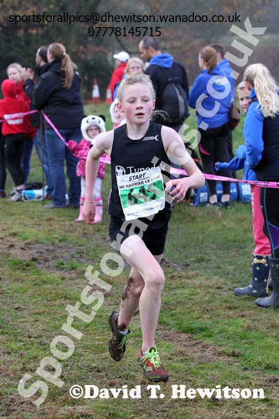 Under-13  girls NEHL, Aykley Heads, Durham. Photo: David T. Hewitson/Sports for All Pics